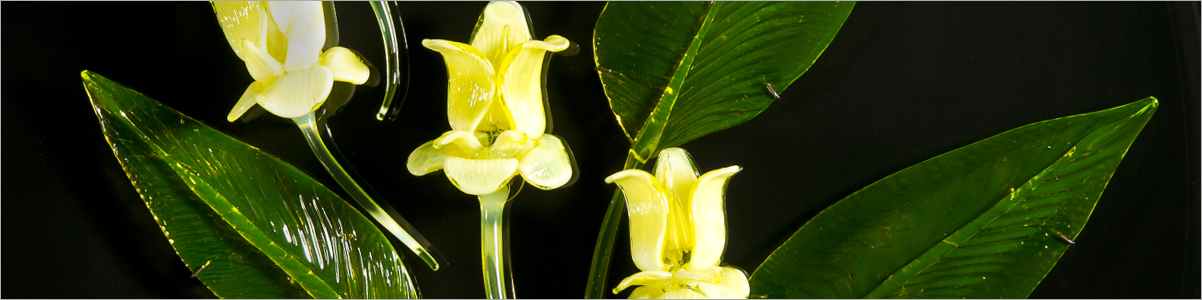 irradient_header